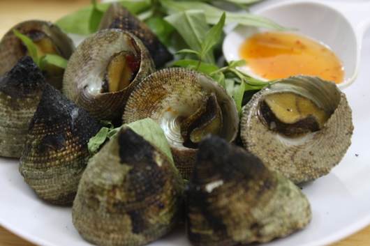 [Image: oc_vu_nang_phan_thiet.JPG]